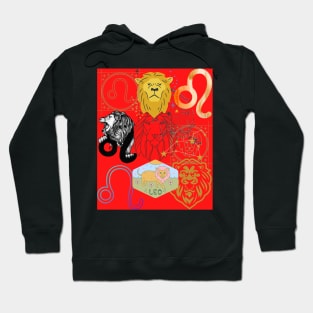 Zodiac Hoodie